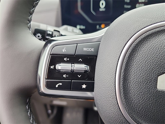 2026 Kia Carnival SX Prestige photo 22