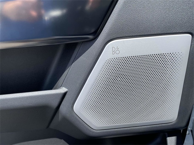 2025 Ford F-250 Platinum photo 10