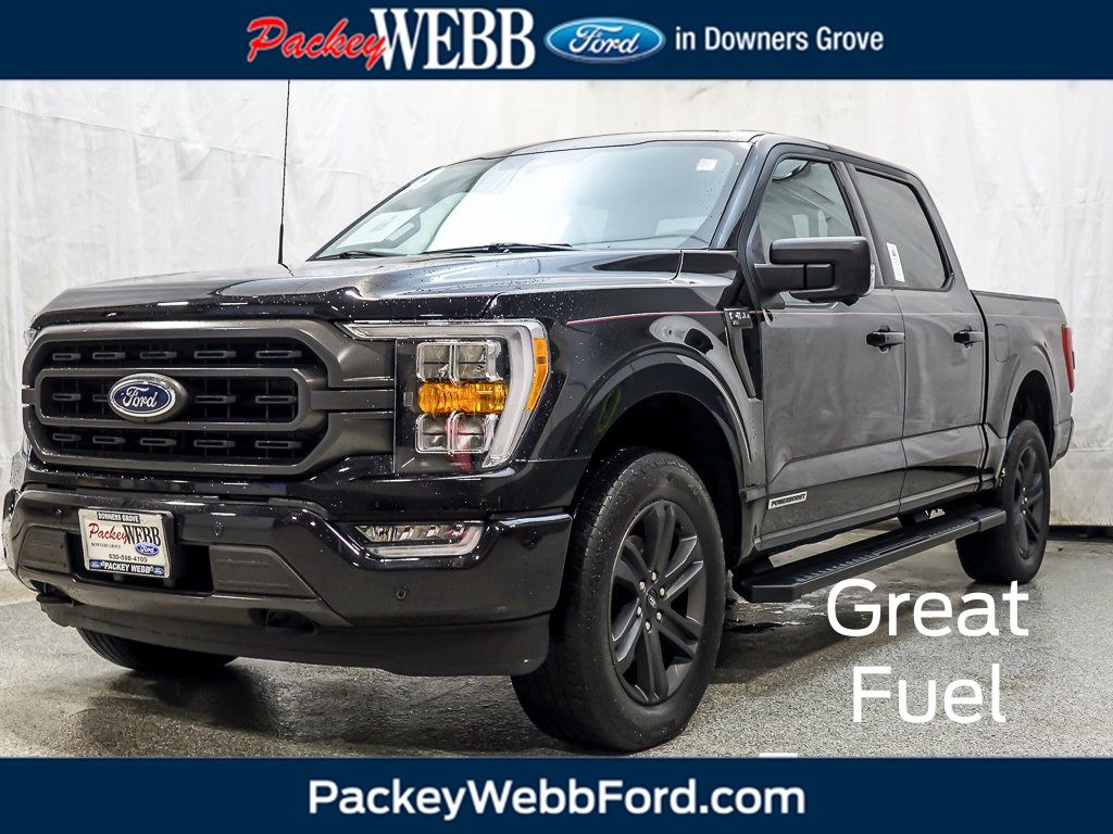 2023 FORD F-150 - Image 1