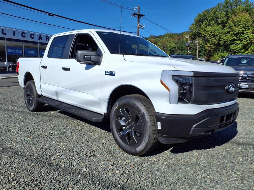 2025 Ford F-150 Lightning Pro's photo