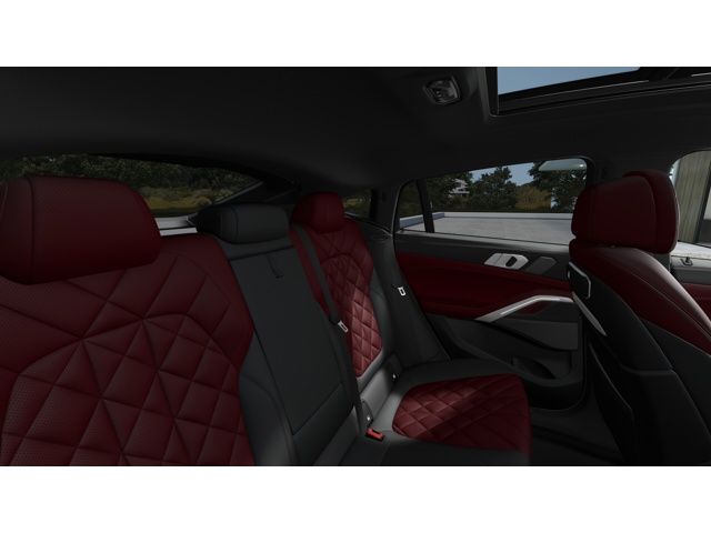 2026 Bmw X6 photo 11