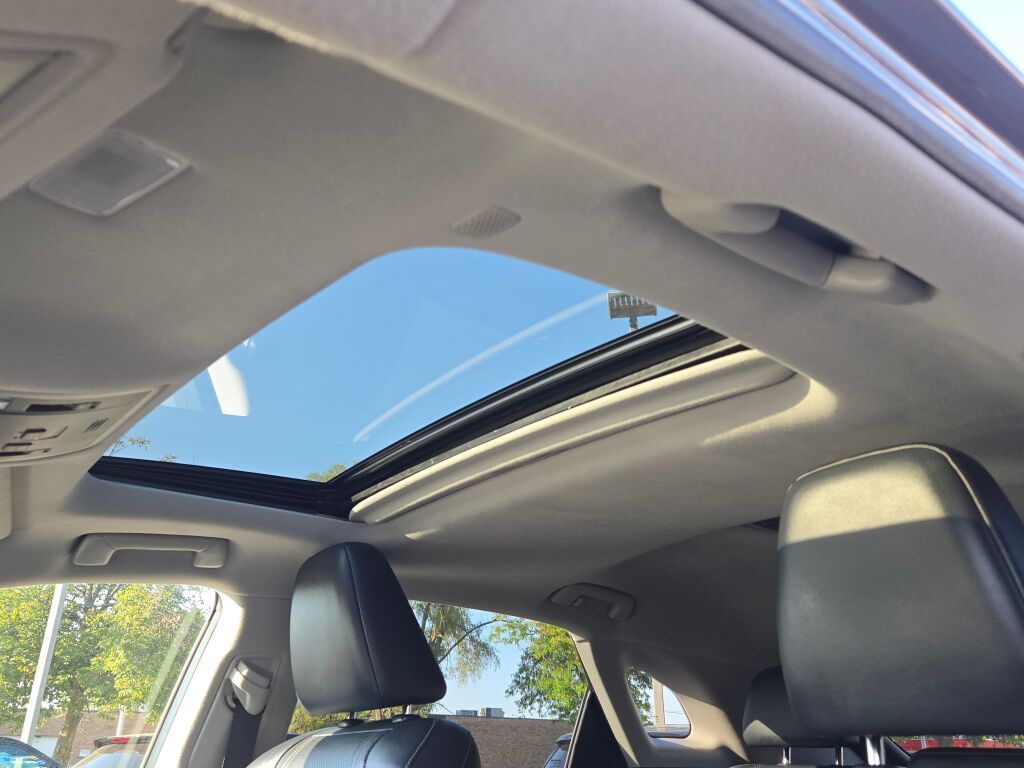 2019 Lexus RX 450h F SPORT photo 23