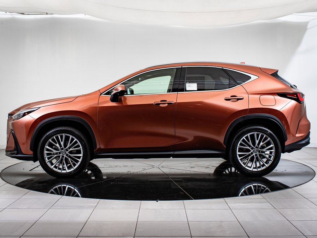 2025 Lexus NX 350 Premium photo 5