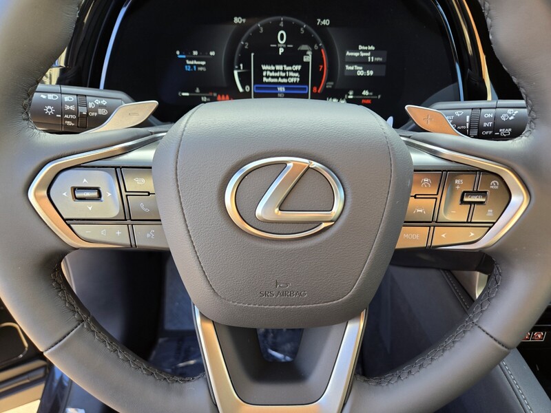 2025 Lexus RX 350 photo 11