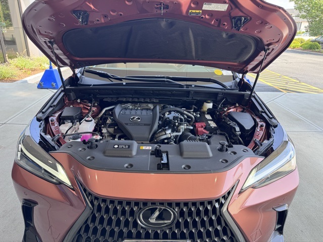 2025 Lexus NX 350 Premium photo 9