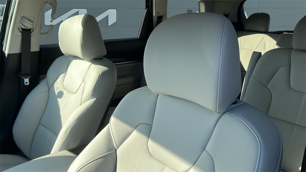 2025 Kia Telluride EX photo 19
