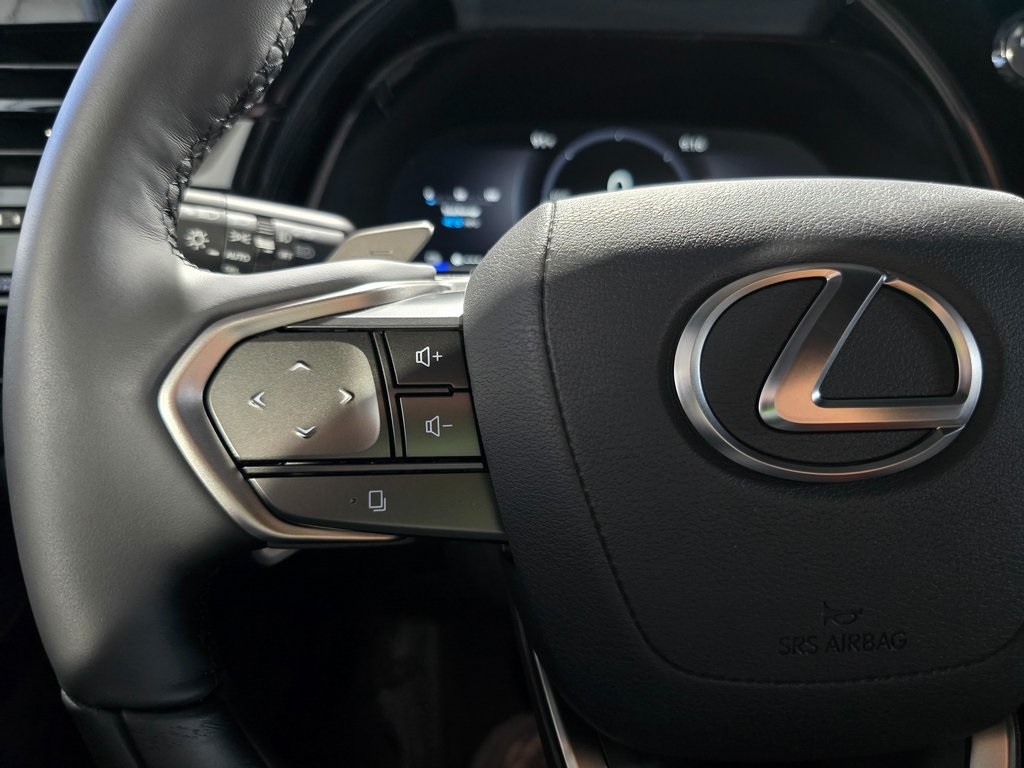 2025 Lexus RX 450h+ Luxury photo 14