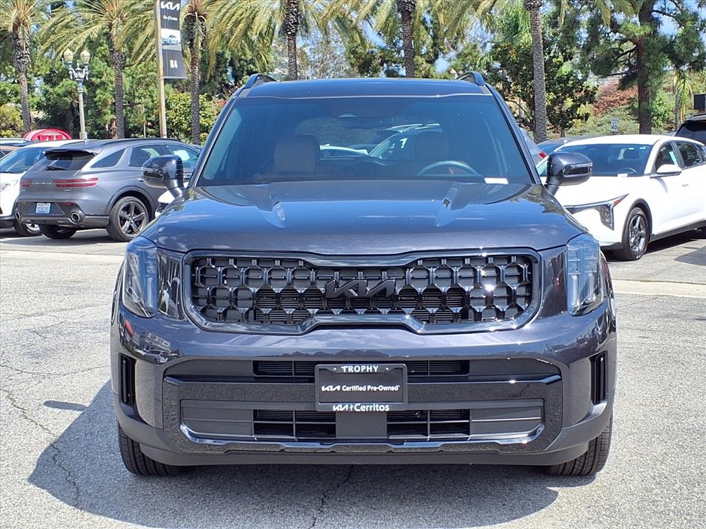 2025 Kia Telluride EX X-Line photo 8