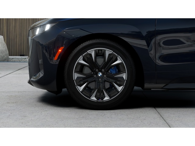 2026 Bmw iX photo 5
