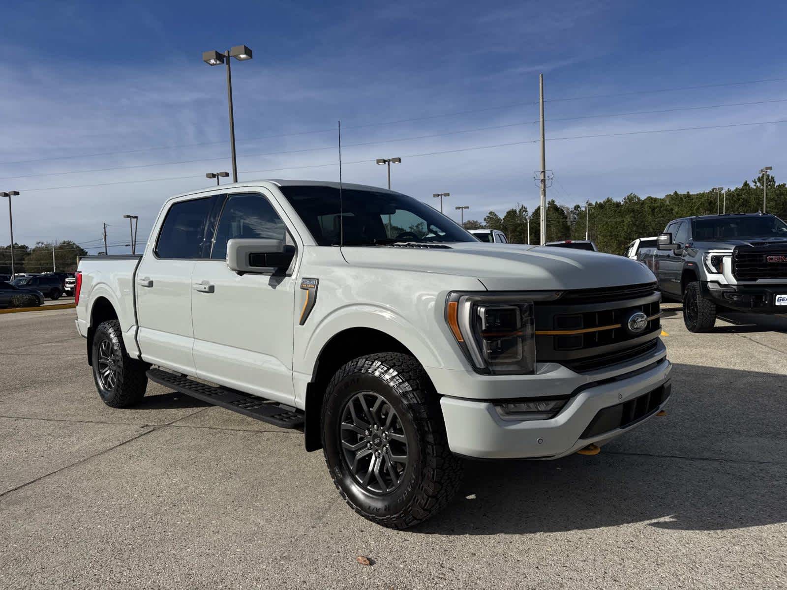 2023 Ford F-150 Tremor's photo