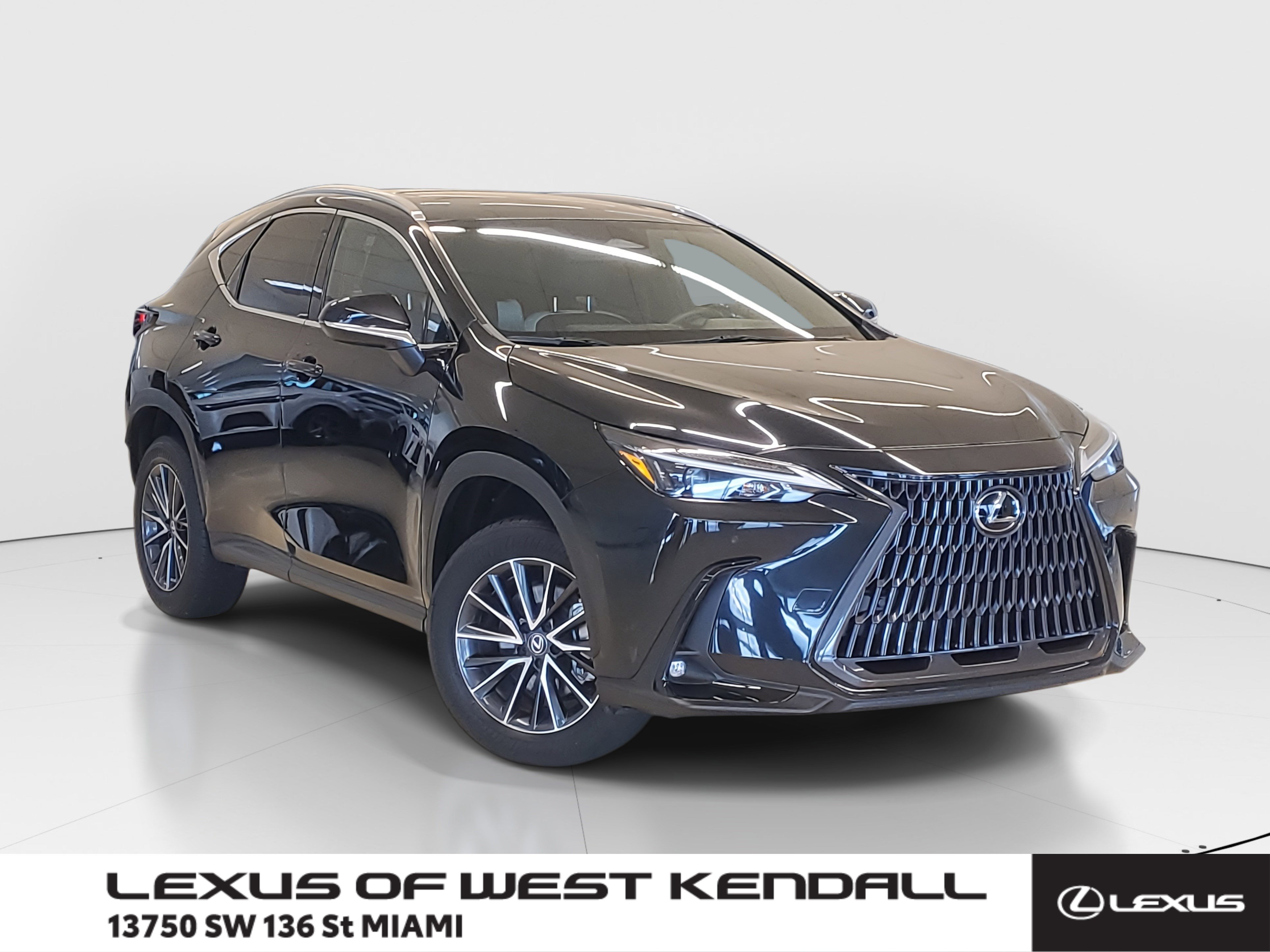 2023 Lexus NX 250's photo