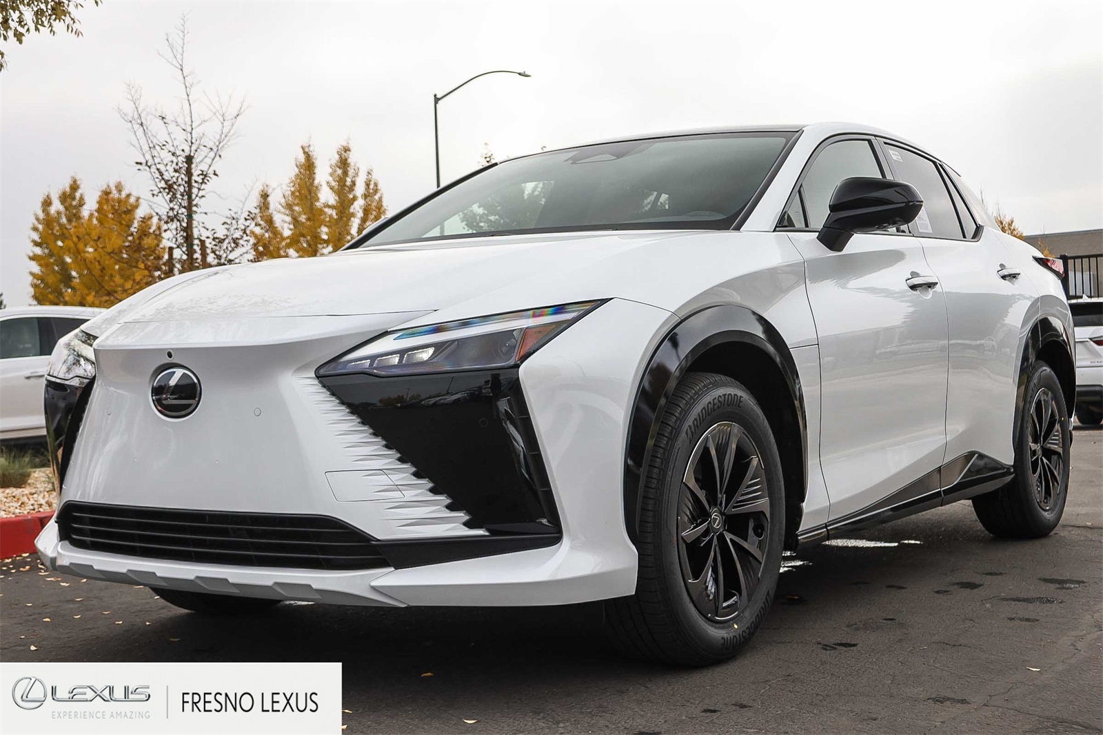 2026 Lexus RZ Premium photo 3