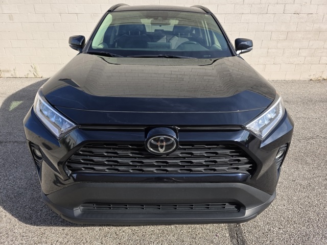 2019 Toyota RAV4 XLE photo 7