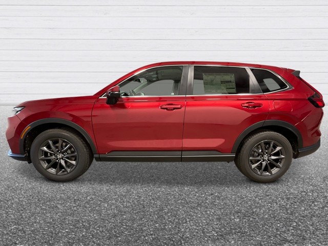 2026 Honda CR-V EX-L photo 2