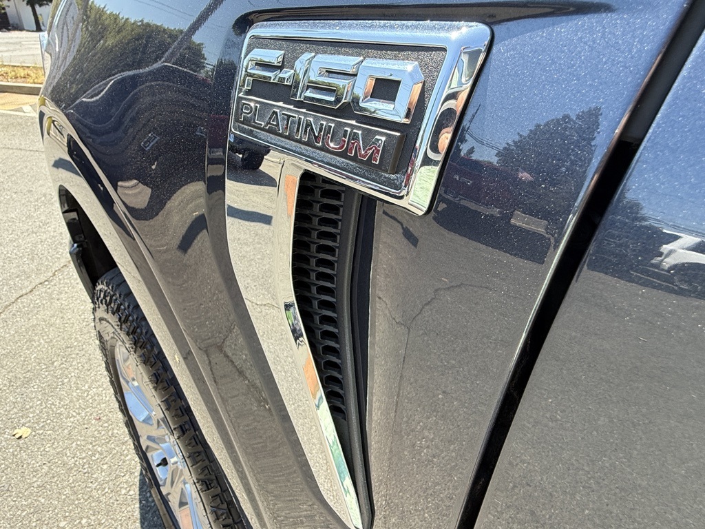 2021 Ford F-150 Platinum photo 24