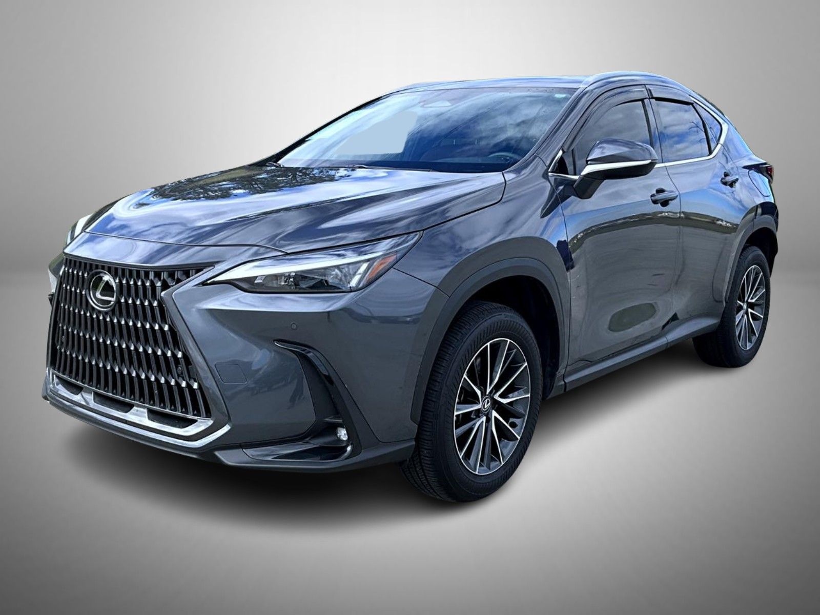 2025 Lexus NX 250's photo