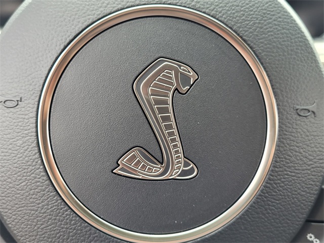 2021 Ford Mustang Shelby GT500 photo 28