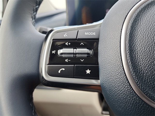 2026 Kia Carnival EX photo 17