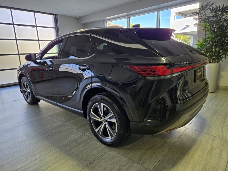 2025 Lexus RX 350 photo 3