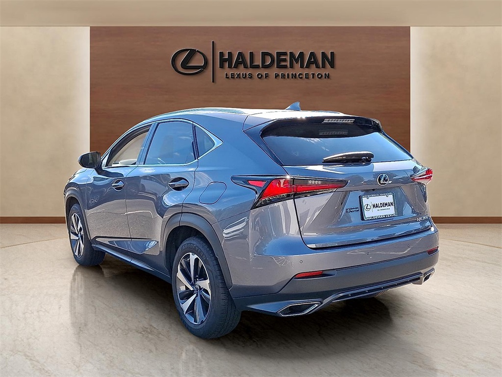 2019 Lexus NX 300 Luxury photo 3