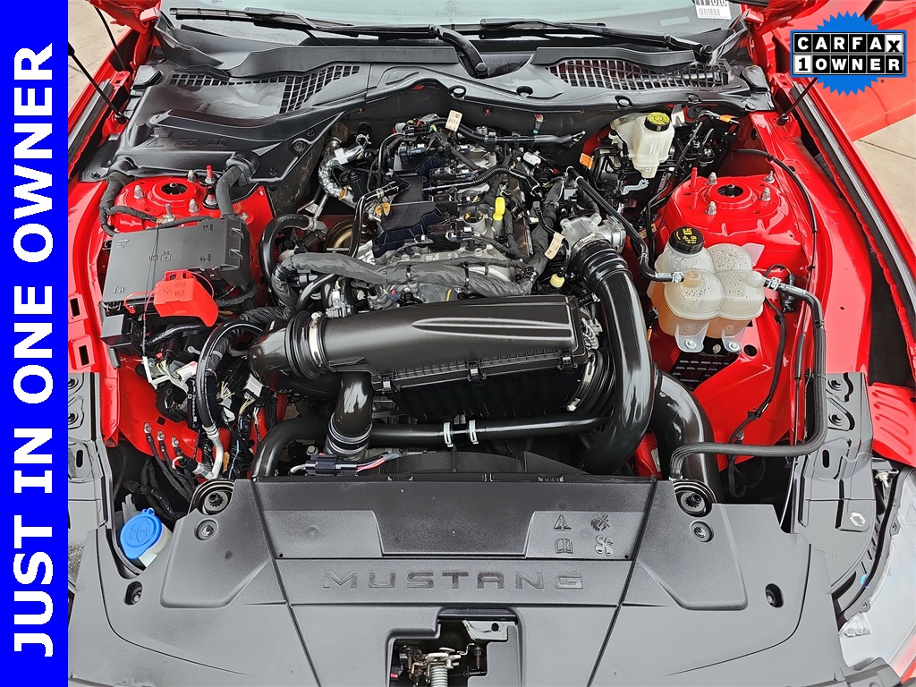 2024 Ford Mustang EcoBoost photo 31