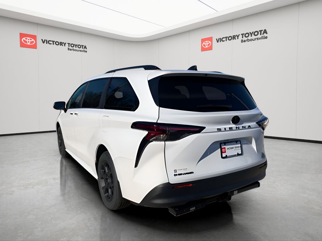 2026 Toyota Sienna XLE photo 4