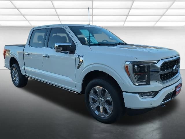 2022 Ford F-150 Platinum's photo
