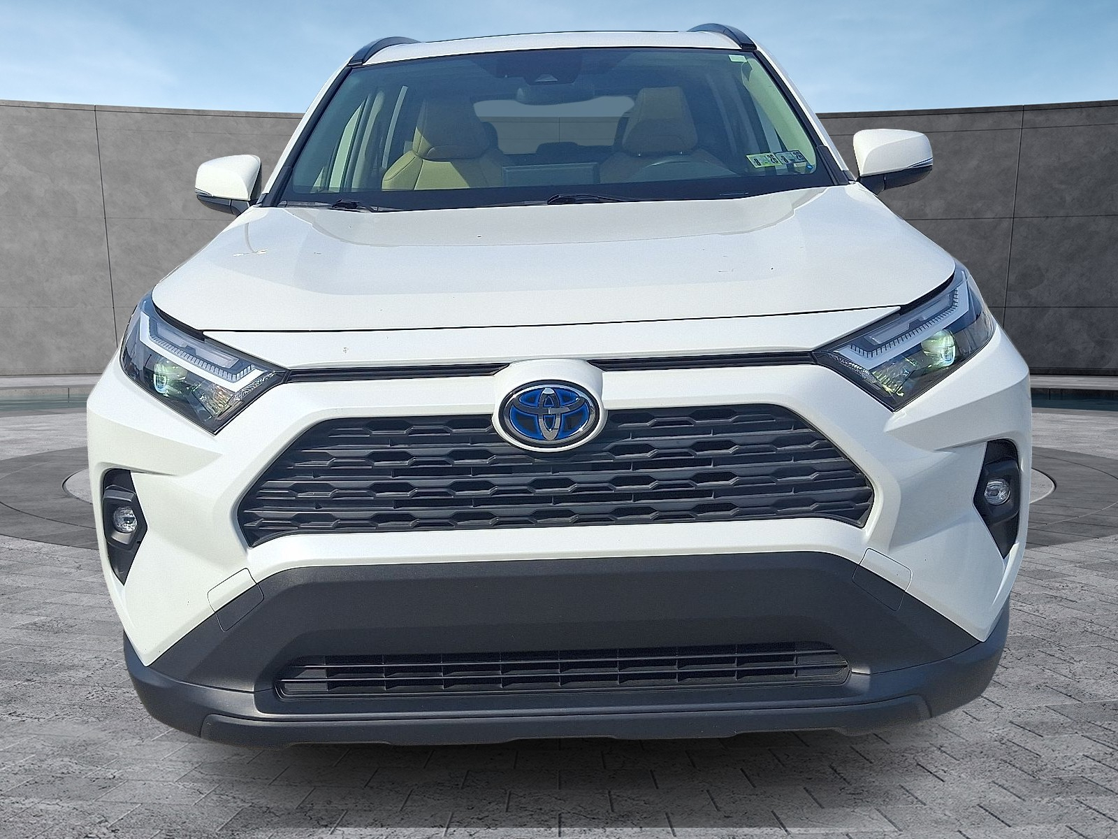 2022 Toyota RAV4 Hybrid XLE Premium photo 3