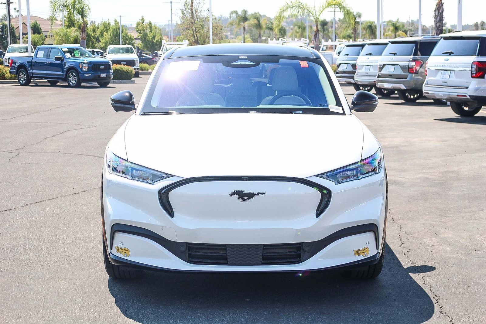 Used 2021 Ford Mustang Mach-E Premium RWD with VIN 3FMTK3R7XMMA50444 for sale in Temecula, CA