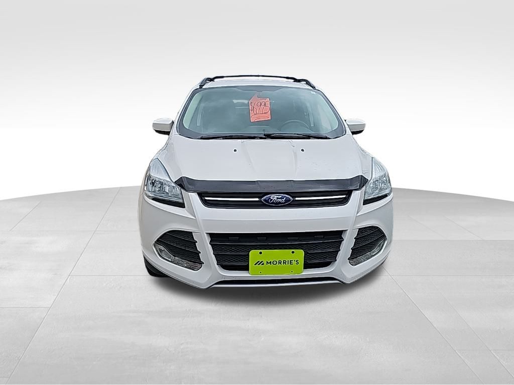 2014 Ford Escape SE photo 3