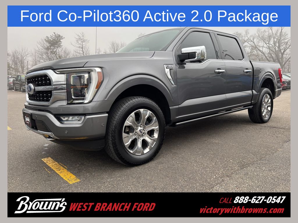2021 Ford F-150 Platinum's photo