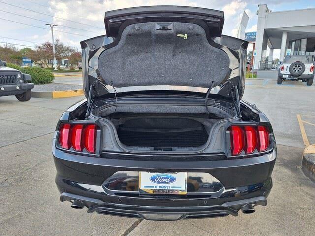 2019 Ford Mustang EcoBoost Premium photo 22