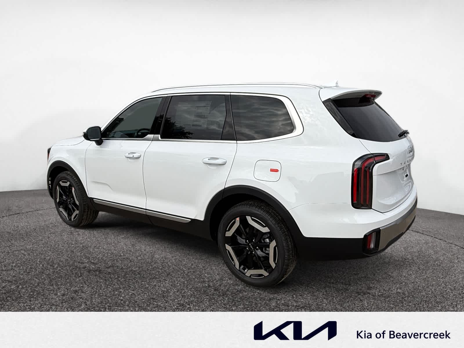 2025 Kia Telluride EX photo 3