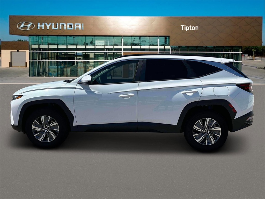 2024 Hyundai Tucson Hybrid Blue photo 3