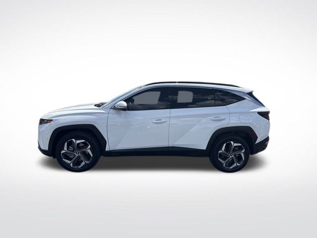 2024 Hyundai Tucson Limited photo 2