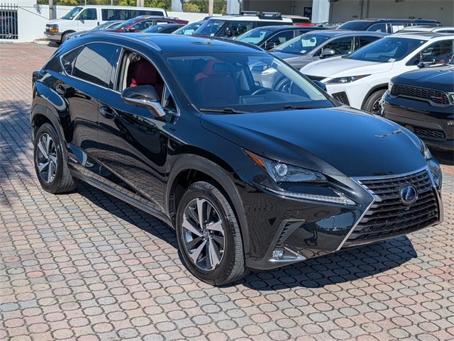 2021 Lexus NX 300h photo 2