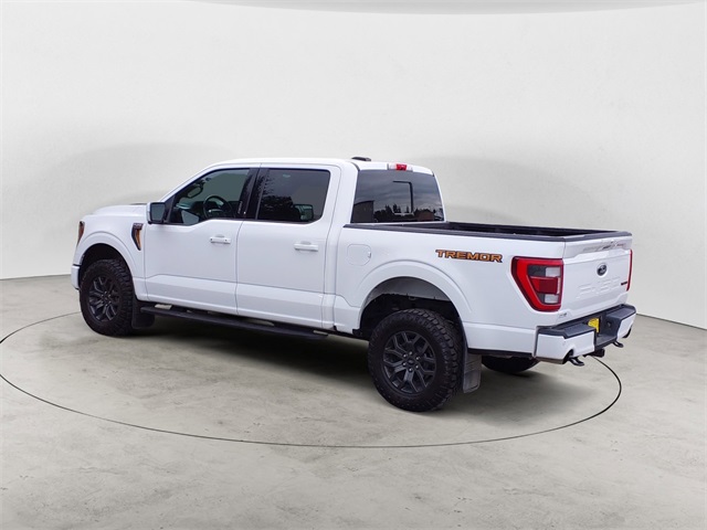 2023 Ford F-150 Tremor photo 3