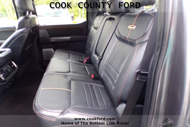 2022 Ford F-150 Platinum photo 15