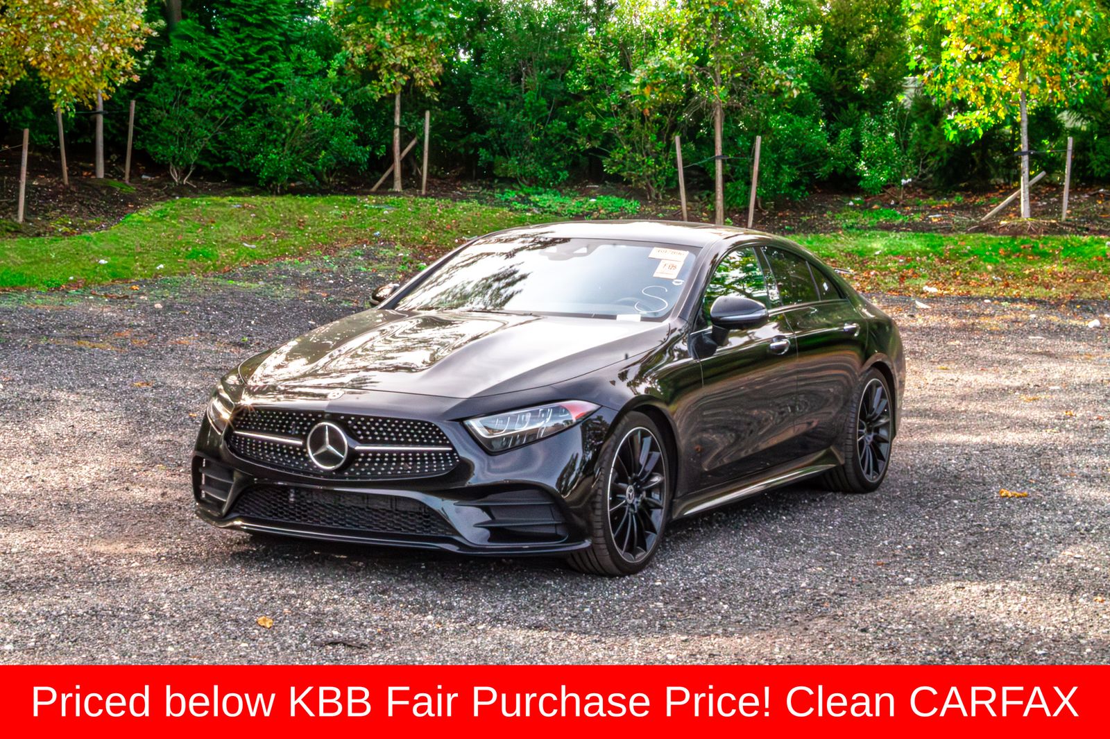 2020 Mercedes-Benz CLS-Class CLS450