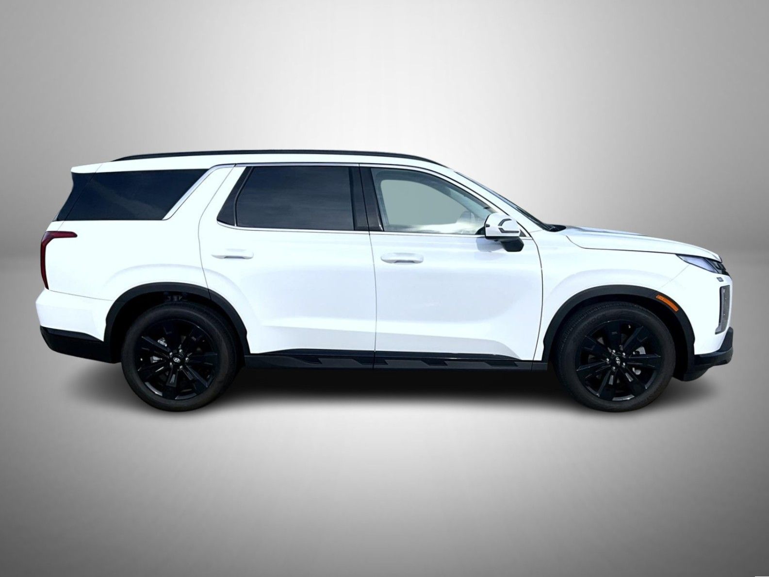 2025 Hyundai Palisade XRT photo 4