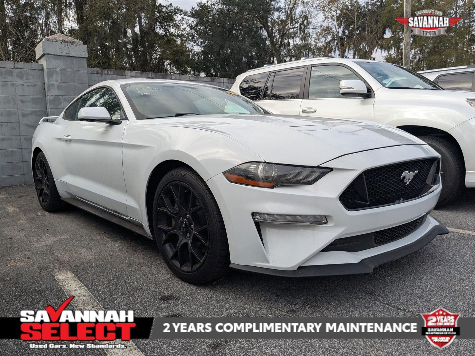 2019 Ford Mustang EcoBoost