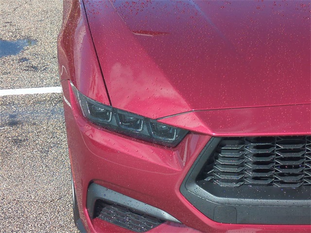 2025 Ford Mustang EcoBoost photo 10