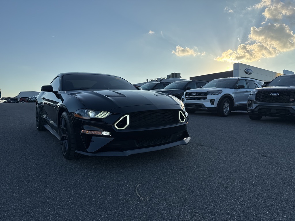 2019 Ford Mustang GT Premium's photo