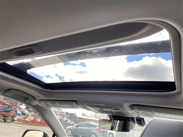 2025 Toyota RAV4 Limited photo 4