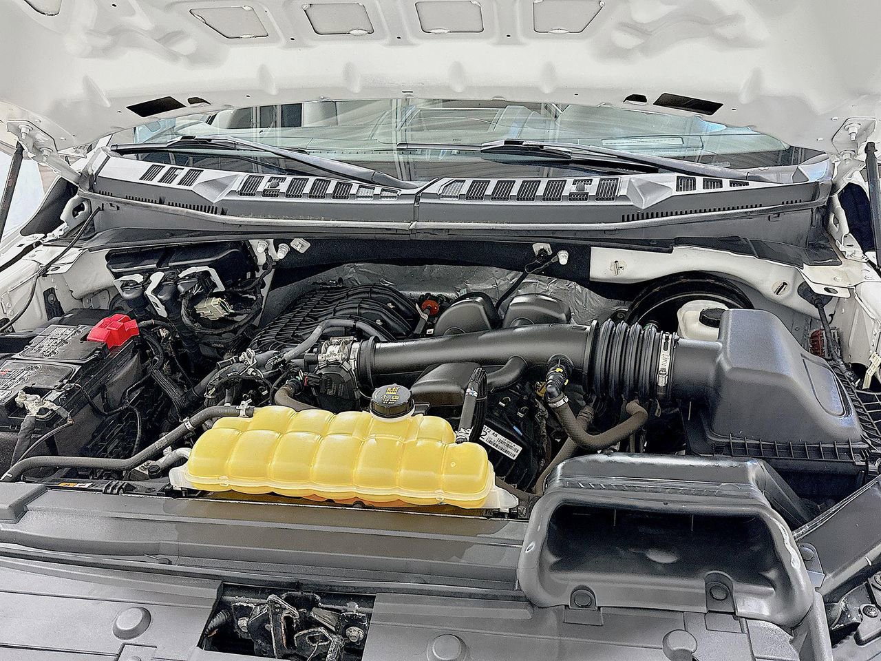 2019 Ford F-150 XL photo 22