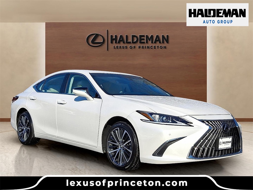 2023 Lexus ES 250's photo