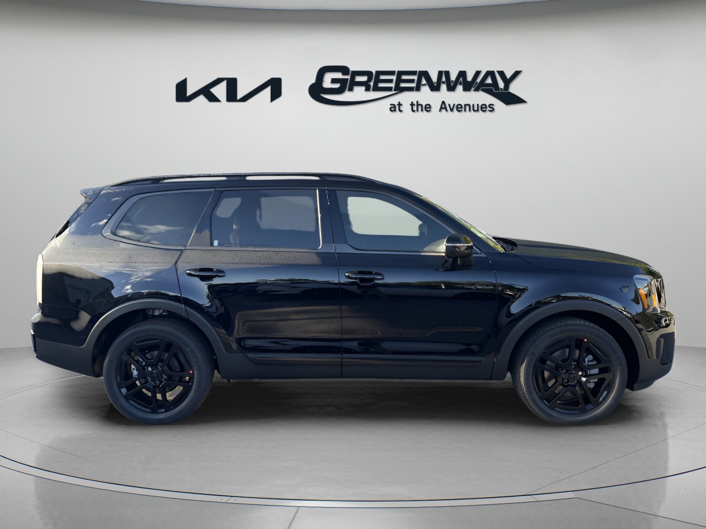 2025 Kia Telluride EX X-Line photo 4