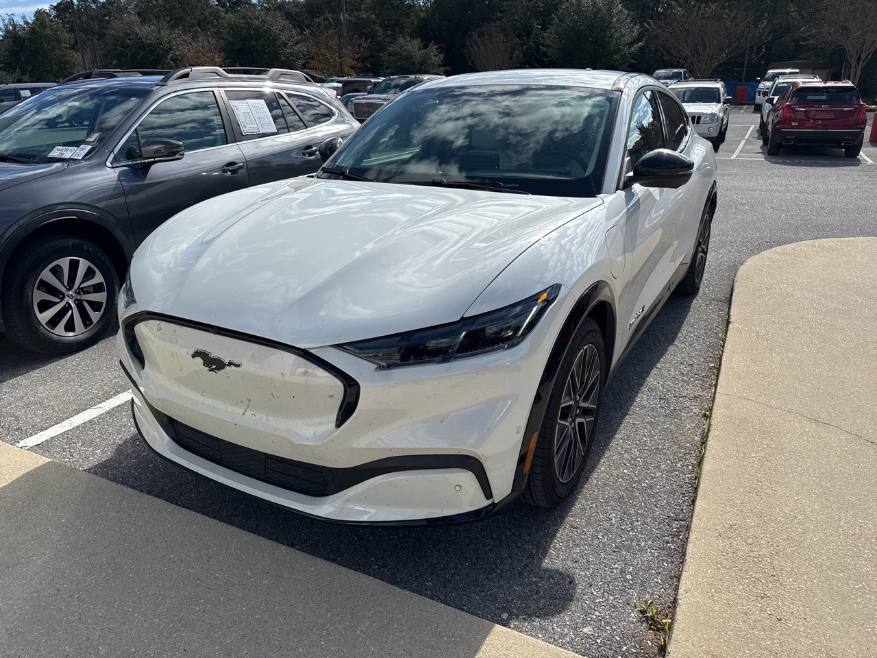 2024 Ford Mustang Mach-E Premium RWD's photo