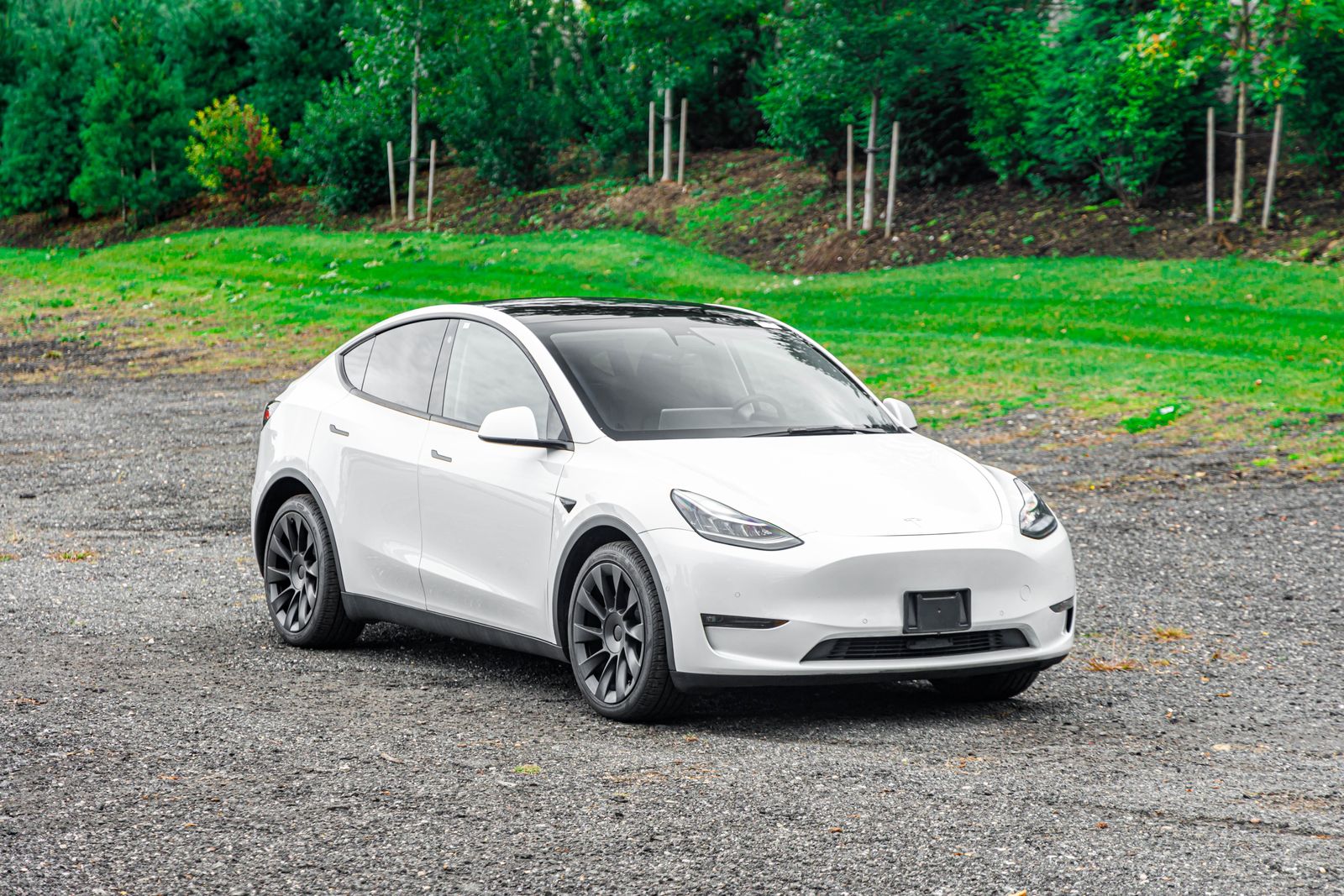 2022 Tesla Model Y Performance photo 12
