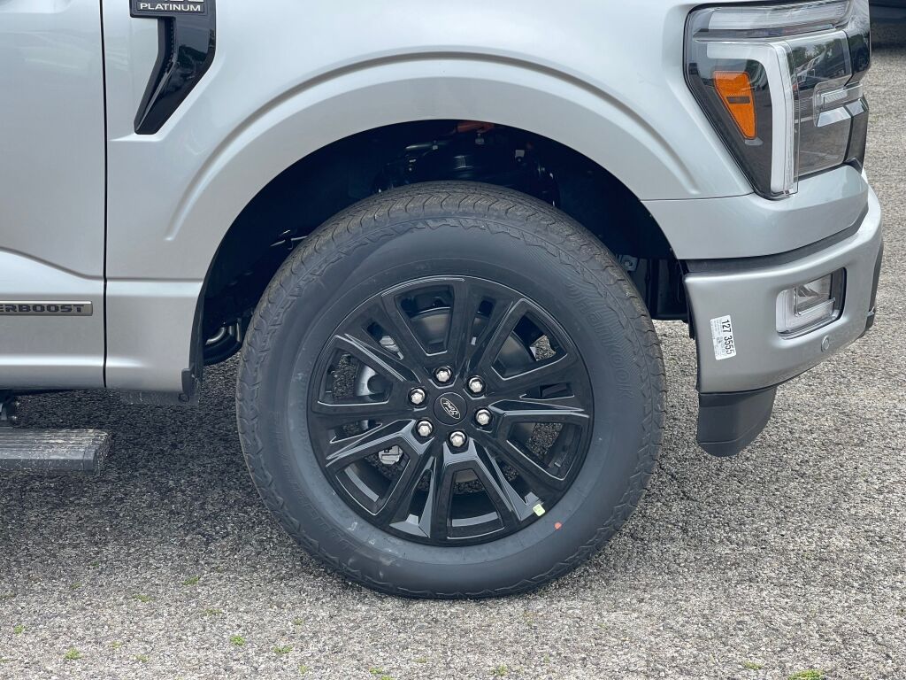 2025 Ford F-150 Platinum photo 17